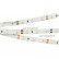 Лента светодиодная Arlight RT 2-5000 12V Blue (3528, 300 LED, LUX) 010523(1)