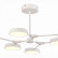 Люстра на штанге EVOLUCE Monta SLE6003-502-06