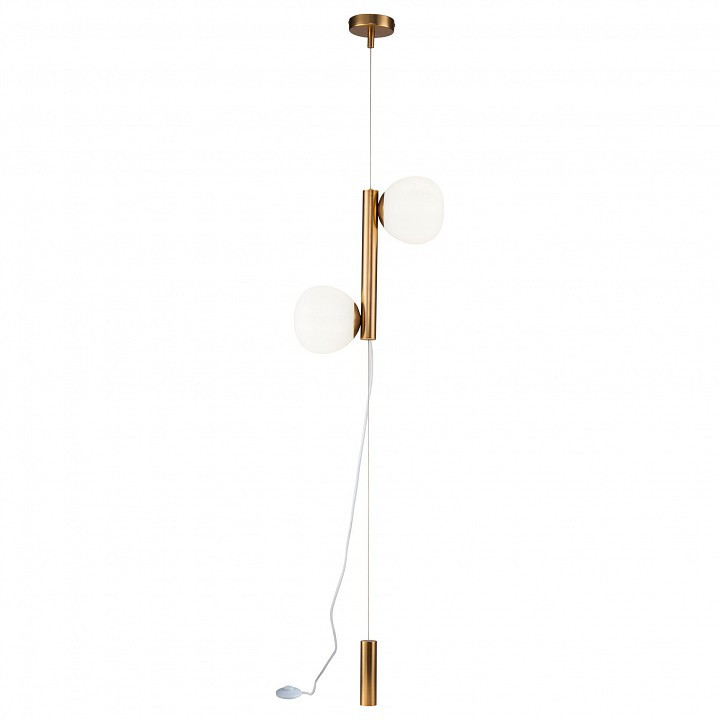 Светильник на растяжке Maytoni Erich MOD221FL-01G