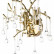 Бра Loft it Coral 10351/2W AB