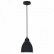 Подвесной светильник Arte Lamp Braccio A2054SP-1BK