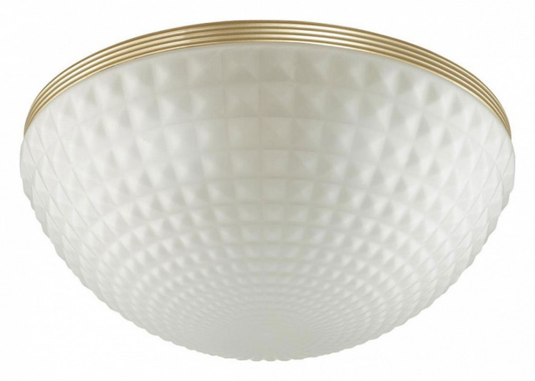 Накладной светильник Odeon Light Malaga 4936/4C