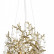 Подвесная люстра Loft it Coral 10351/600 AB