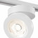 Накладной светильник Maytoni Magic TR006-1-12W3K-W4K
