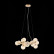 Подвесная люстра ST-Luce Parllaone SL435.203.15