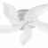 Потолочная люстра Escada Wind 10214/SG (60W)