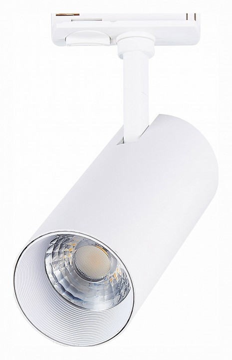 Светильник на штанге ST-Luce Mono ST350.546.20.24