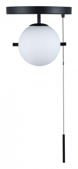 Светильник на штанге Loft it Signal 10029C Black