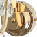 Бра Favourite Mieder 2425-1W
