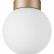 Накладной светильник Lightstar Globo 812013