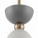 Подвесной светильник Maytoni Cloches MOD113PL-01W