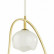 Подвесной светильник Odeon Light Waterlily 4873/2