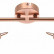 Спот Globo Anne 54383-4
