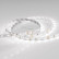 Лента светодиодная Arlight RT 2-5000 12V White6000 (3528, 300 LED, LUX) 010522(B)