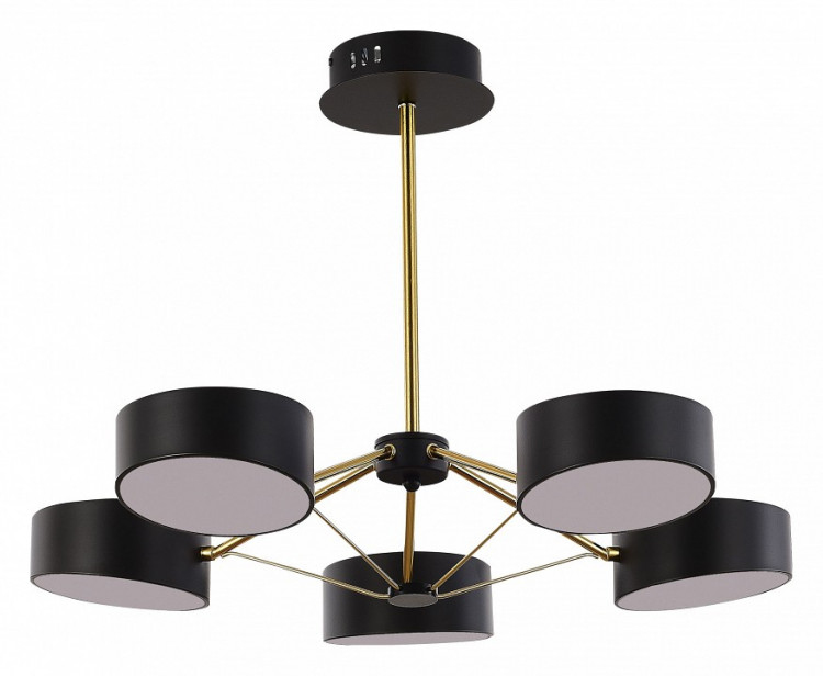 Люстра на штанге EVOLUCE Valle SLE6005-402-05