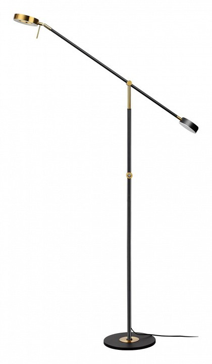 Торшер Odeon Light Denzel 4321/20FL