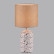 Настольная лампа декоративная Lumion Terazio 8141/1T