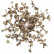 Бра Loft it Spark 10101W Gold