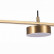 Подвесной светильник ST-Luce Pances SL6000.303.05
