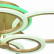 Потолочная люстра EVOLED Cerina SLE500522-06RGB