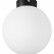 Накладной светильник Lightstar Globo 812027