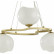 Подвесная люстра Odeon Light Waterlily 4873/3