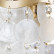 Накладной светильник Arte Lamp Pipirima A4065AP-2SG