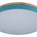 Накладной светильник Loft it Axel 10001/36 Blue