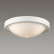 Накладной светильник Lumion Nina 5279/3C