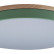 Накладной светильник Loft it Axel 10001/36 Green