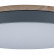 Накладной светильник Loft it Axel 10001/36 Grey