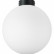 Накладной светильник Lightstar Globo 812037