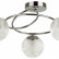 Потолочная люстра Lumion Belinda 5209/3C