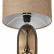 Настольная лампа декоративная Lumion Akivi 8149/1Т