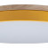 Накладной светильник Loft it Axel 10001/36 Yellow