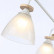 Люстра на штанге Ambrella TR TR9562