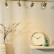 Спот Lucide Caro-Led 13955/20/03