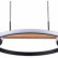 Подвесной светильник Arte Lamp Fluido A3913SP-24BK