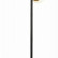 Торшер EVOLUCE Forli SLE220405-03