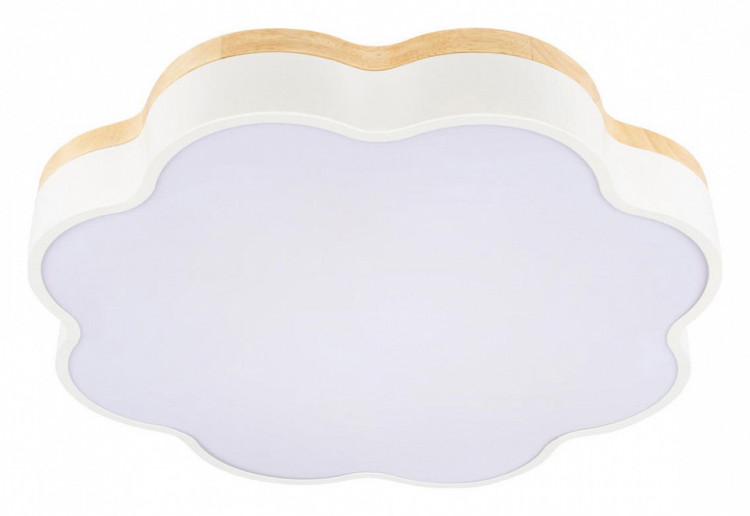 Накладной светильник Loft it Axel 10225/36 White