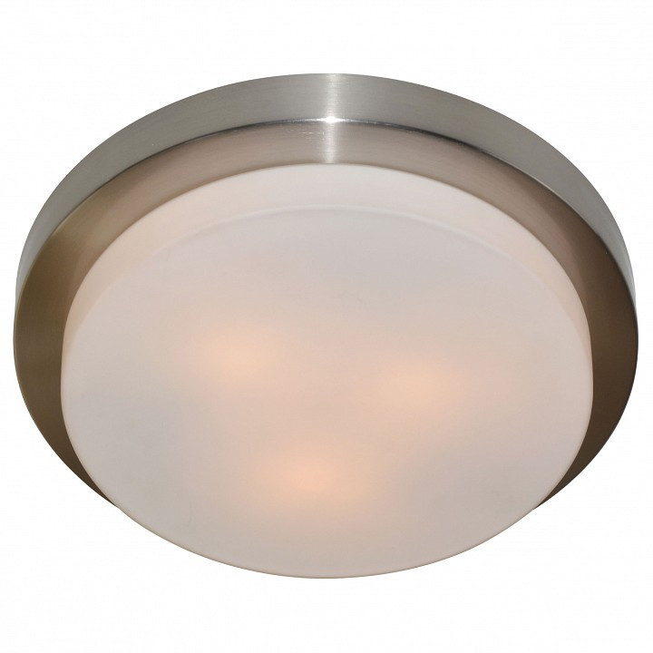 Накладной светильник Arte Lamp Aqua A8510PL-3SS
