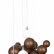 Подвесная люстра Loft it Ginger 10161 Dark wood