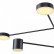Подвесная люстра F-promo Ducan 3094-8P