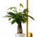 Бра Favourite Greenery 4050-1W