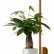 Бра Favourite Greenery 4050-1W
