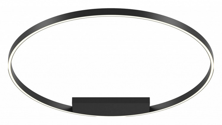 Накладной светильник Maytoni Rim MOD058CL-L65BK
