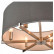 Подвесной светильник Vele Luce Camellia VL4203P26