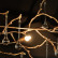 Бра Loft it Bijout 10067/6W GB