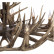 Подвесная люстра ST-Luce SL154 SL154.703.27