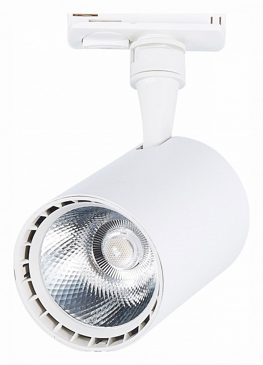 Светильник на штанге ST-Luce Cami ST351.546.20.24